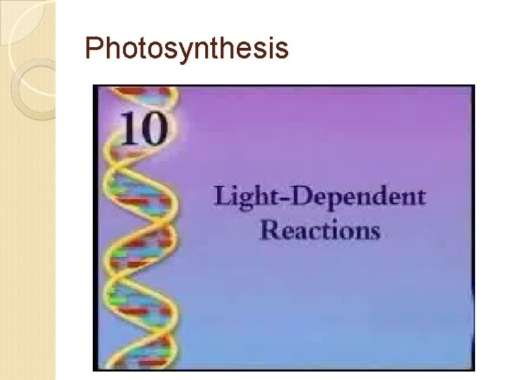 Photosynthesis 