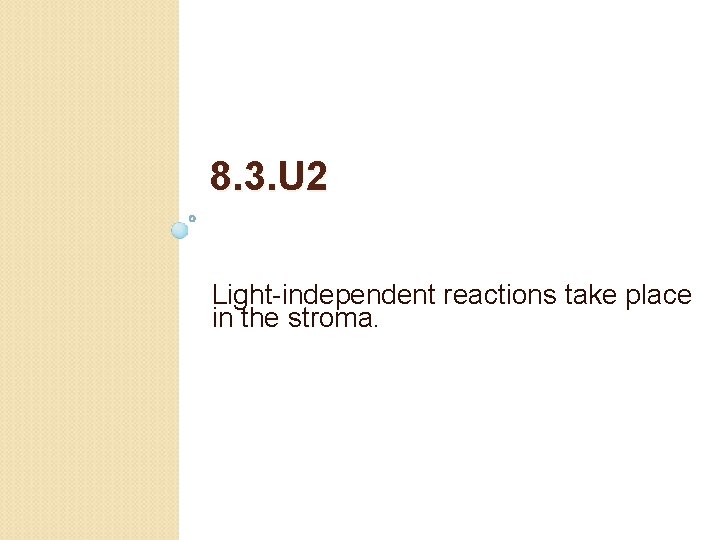 8. 3. U 2 Light-independent reactions take place in the stroma. 