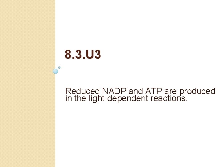 8. 3. U 3 Reduced NADP and ATP are produced in the light-dependent reactions.