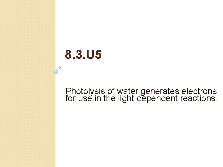 8. 3. U 5 Photolysis of water generates electrons for use in the light-dependent