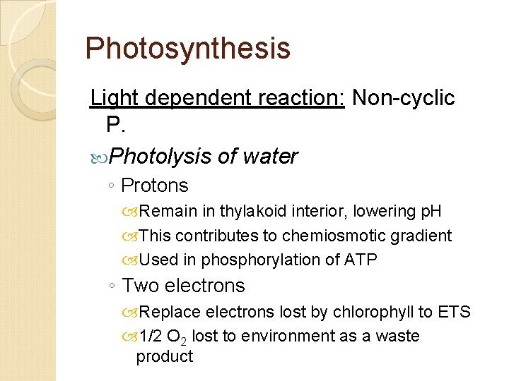 Photosynthesis Light dependent reaction: Non-cyclic P. Photolysis of water ◦ Protons Remain in thylakoid