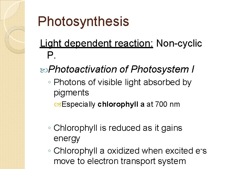 Photosynthesis Light dependent reaction: Non-cyclic P. Photoactivation of Photosystem I ◦ Photons of visible