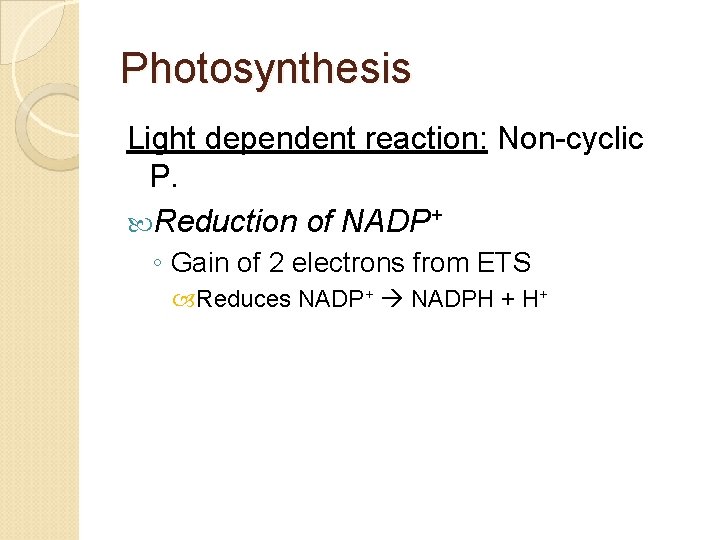 Photosynthesis Light dependent reaction: Non-cyclic P. Reduction of NADP+ ◦ Gain of 2 electrons