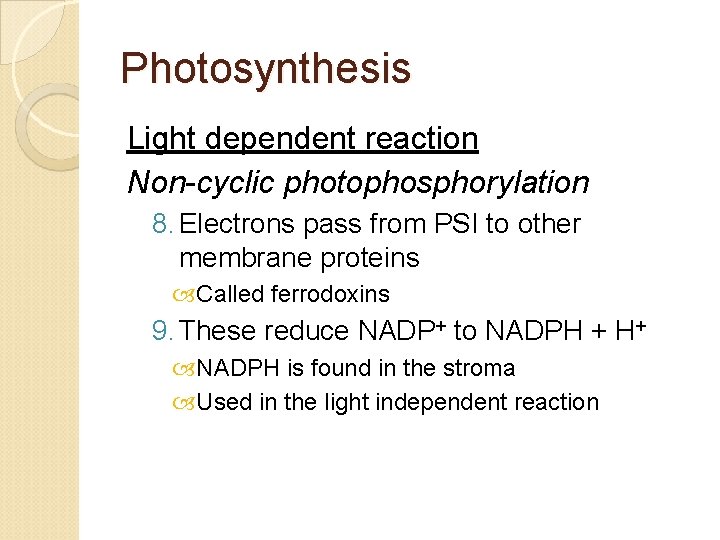 Photosynthesis Light dependent reaction Non-cyclic photophosphorylation 8. Electrons pass from PSI to other membrane
