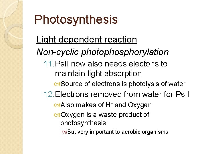 Photosynthesis Light dependent reaction Non-cyclic photophosphorylation 11. Ps. II now also needs electons to