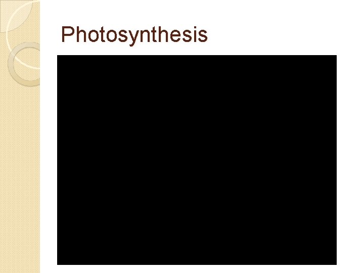 Photosynthesis 