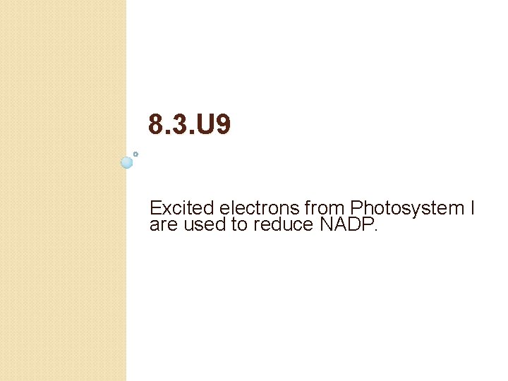 8. 3. U 9 Excited electrons from Photosystem I are used to reduce NADP.