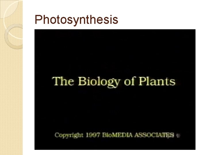 Photosynthesis 
