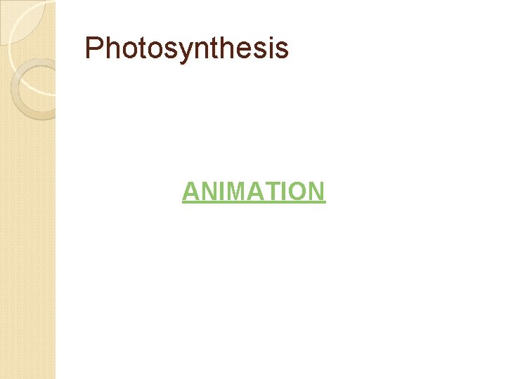 Photosynthesis ANIMATION 