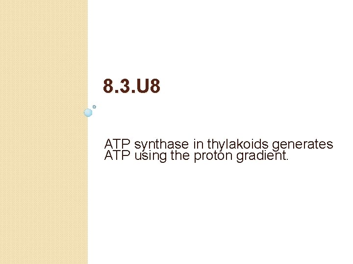 8. 3. U 8 ATP synthase in thylakoids generates ATP using the proton gradient.