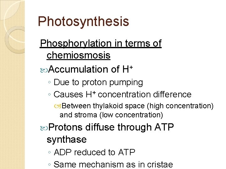 Photosynthesis Phosphorylation in terms of chemiosmosis Accumulation of H+ ◦ Due to proton pumping