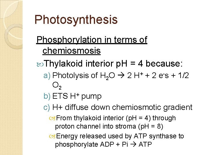 Photosynthesis Phosphorylation in terms of chemiosmosis Thylakoid interior p. H = 4 because: a)