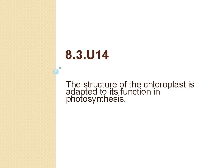 8. 3. U 14 The structure of the chloroplast is adapted to its function