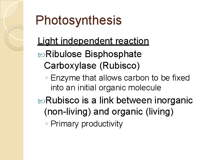 Photosynthesis Light independent reaction Ribulose Bisphosphate Carboxylase (Rubisco) ◦ Enzyme that allows carbon to