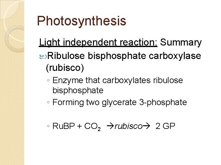 Photosynthesis Light independent reaction: Summary Ribulose bisphosphate carboxylase (rubisco) ◦ Enzyme that carboxylates ribulose