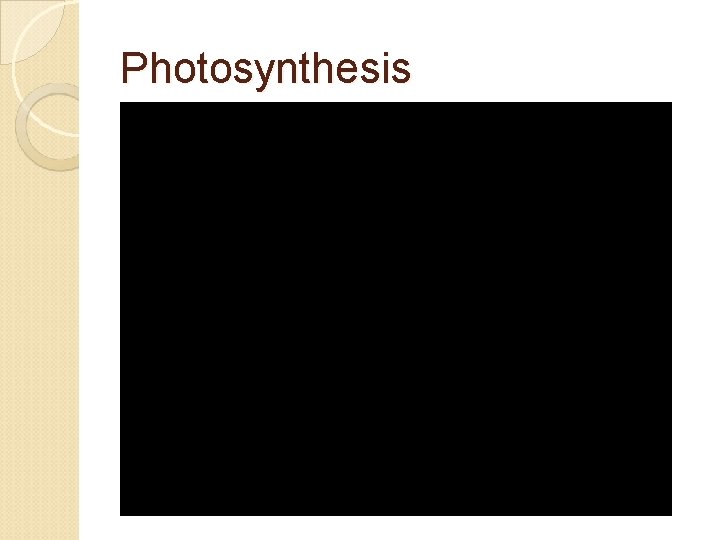 Photosynthesis 