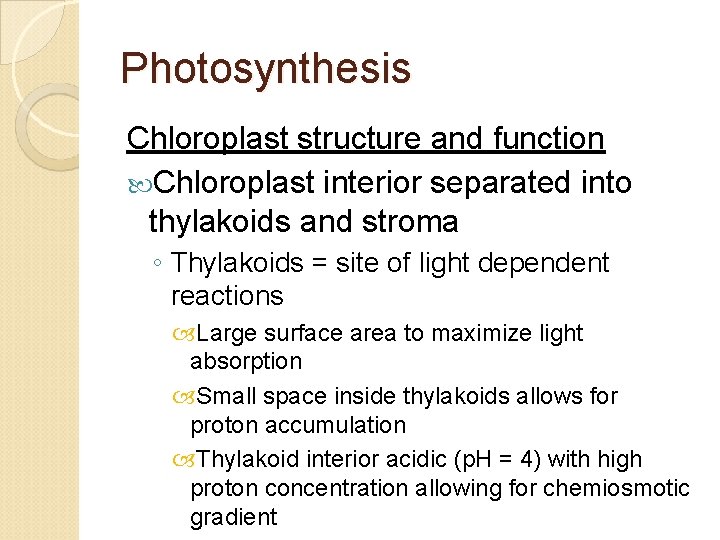 Photosynthesis Chloroplast structure and function Chloroplast interior separated into thylakoids and stroma ◦ Thylakoids