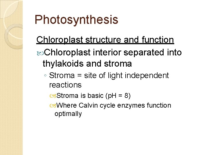 Photosynthesis Chloroplast structure and function Chloroplast interior separated into thylakoids and stroma ◦ Stroma