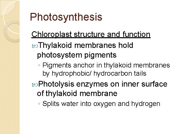 Photosynthesis Chloroplast structure and function Thylakoid membranes hold photosystem pigments ◦ Pigments anchor in