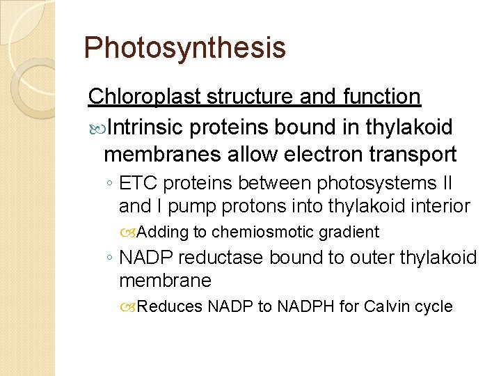 Photosynthesis Chloroplast structure and function Intrinsic proteins bound in thylakoid membranes allow electron transport