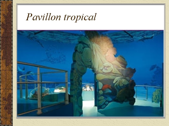 Pavillon tropical 