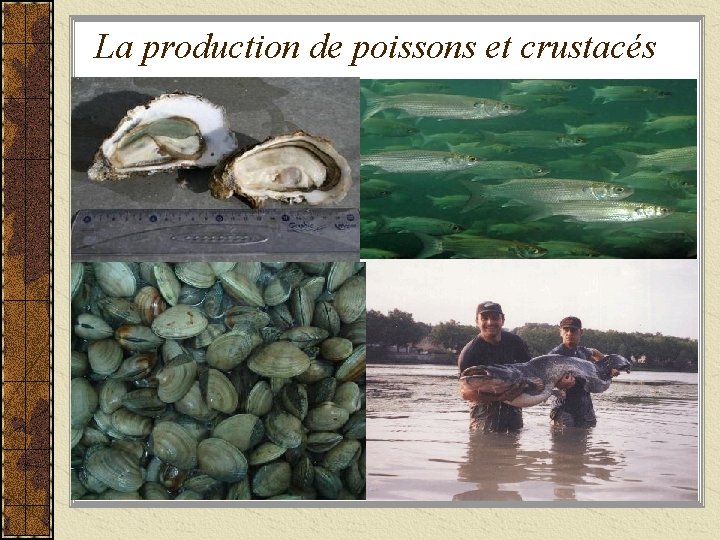 La production de poissons et crustacés 