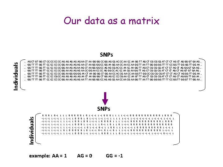 Our data as a matrix … … … … AG CT GT GG CT