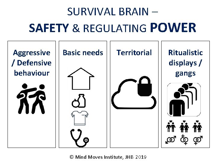 SURVIVAL BRAIN – SAFETY & REGULATING POWER Aggressive / Defensive behaviour Basic needs Territorial
