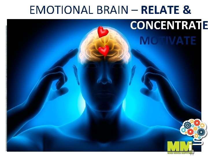EMOTIONAL BRAIN – RELATE & CONCENTRATE MOTIVATE 