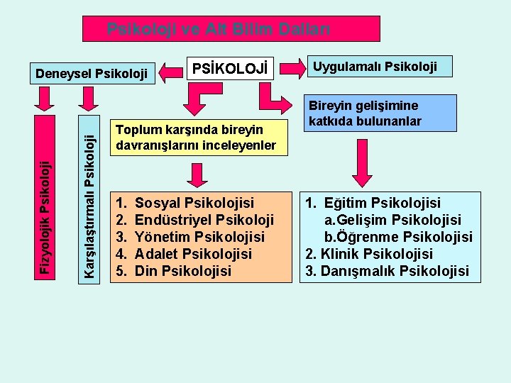 Psikoloji ve Alt Bilim Dalları Karşılaştırmalı Psikoloji Fizyolojik Psikoloji Deneysel Psikoloji PSİKOLOJİ Toplum karşında