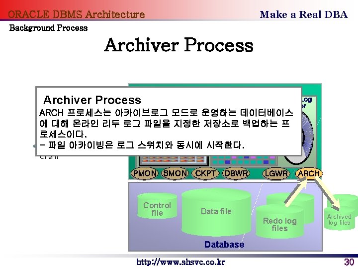 Make a Real DBA ORACLE DBMS Architecture Background Process Archiver Process. Shared Pool Instance