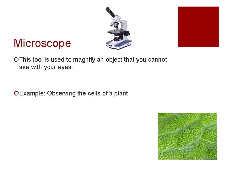 Microscope ¡This tool is used to magnify an object that you cannot see with