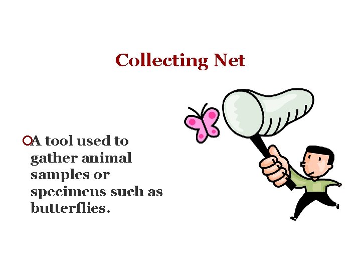 Collecting Net ¡A tool used to gather animal samples or specimens such as butterflies.
