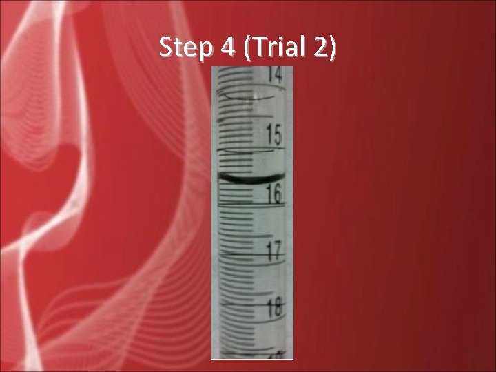 Step 4 (Trial 2) 