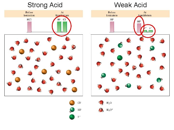 Strong Acid Weak Acid 