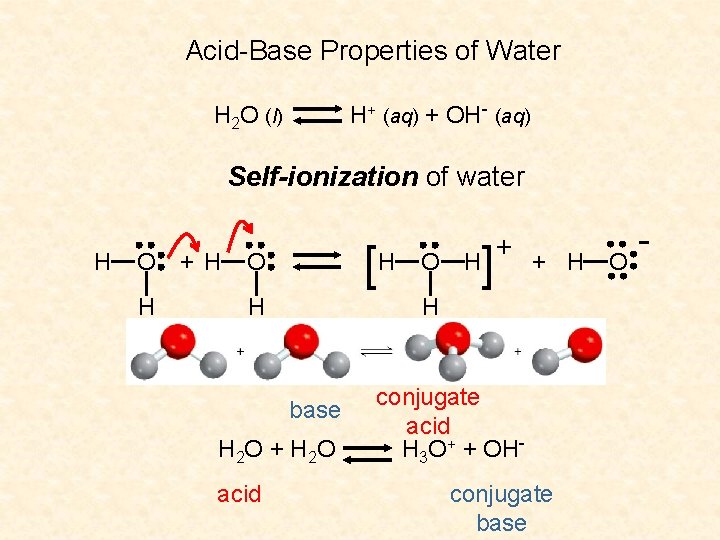 Acid-Base Properties of Water H+ (aq) + OH- (aq) H 2 O (l) Self-ionization
