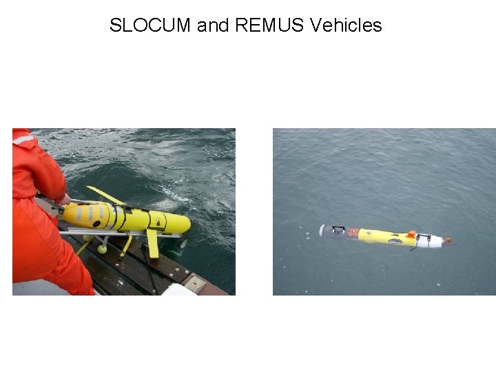 SLOCUM and REMUS Vehicles 