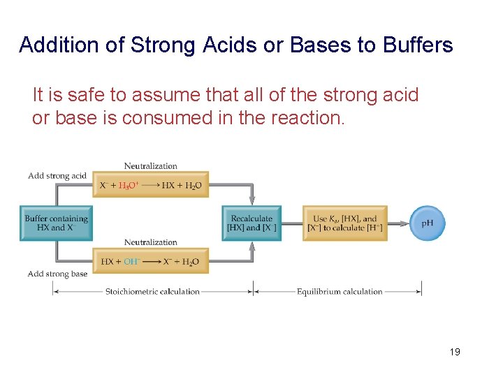 Addition of Strong Acids or Bases to Buffers It is safe to assume that