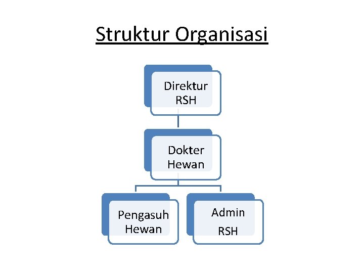 Struktur Organisasi Direktur RSH Dokter Hewan Pengasuh Hewan Admin RSH 
