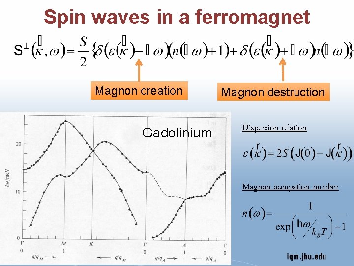 Spin waves in a ferromagnet Magnon creation Gadolinium Magnon destruction Dispersion relation Magnon occupation