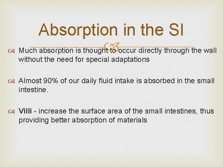 Absorption in the SI Much absorption is thought to occur directly through the wall