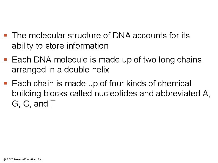 § The molecular structure of DNA accounts for its ability to store information §