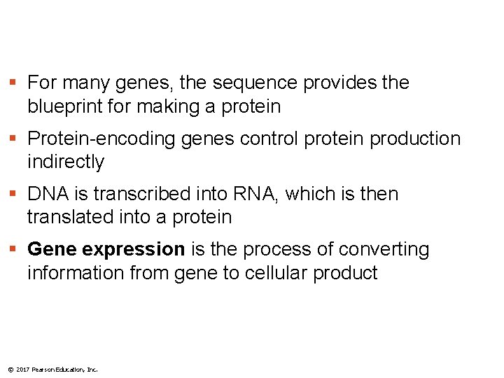 § For many genes, the sequence provides the blueprint for making a protein §