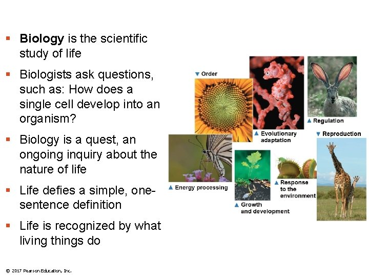 § Biology is the scientific study of life § Biologists ask questions, such as: