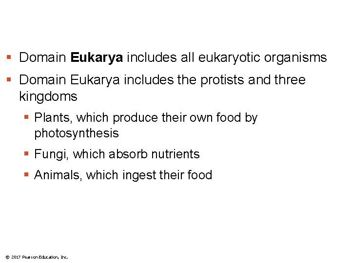 § Domain Eukarya includes all eukaryotic organisms § Domain Eukarya includes the protists and