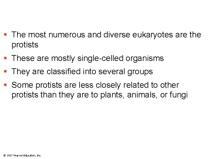 § The most numerous and diverse eukaryotes are the protists § These are mostly
