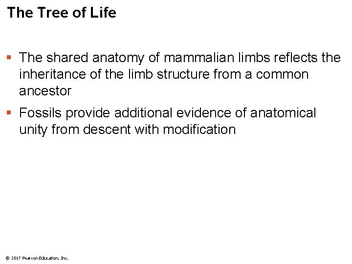 The Tree of Life § The shared anatomy of mammalian limbs reflects the inheritance
