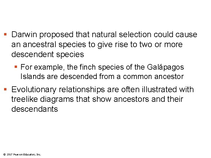 § Darwin proposed that natural selection could cause an ancestral species to give rise