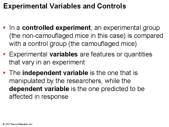 Experimental Variables and Controls § In a controlled experiment, an experimental group (the non-camouflaged