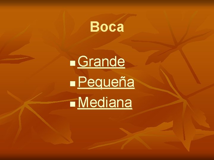 Boca Grande n Pequeña n Mediana n 